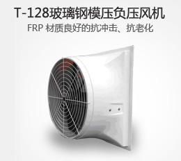T-128 玻璃鋼風(fēng)機(jī)